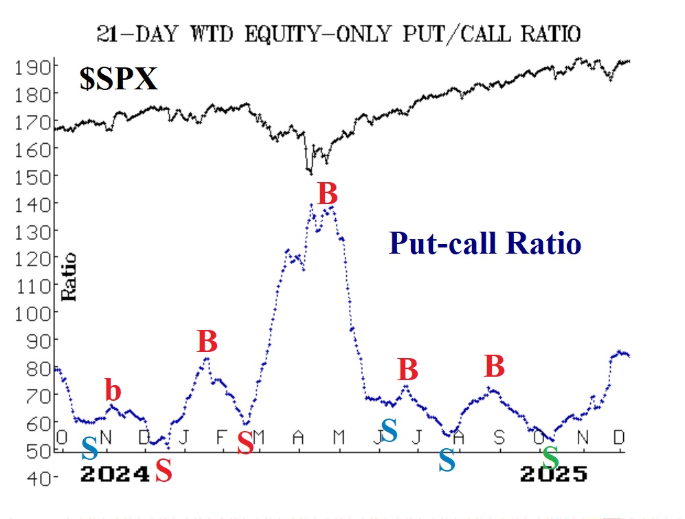 Dollar-Weighted Put-Call Ratio