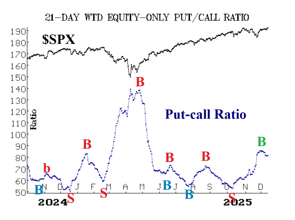 Dollar-Weighted Put-Call Ratio