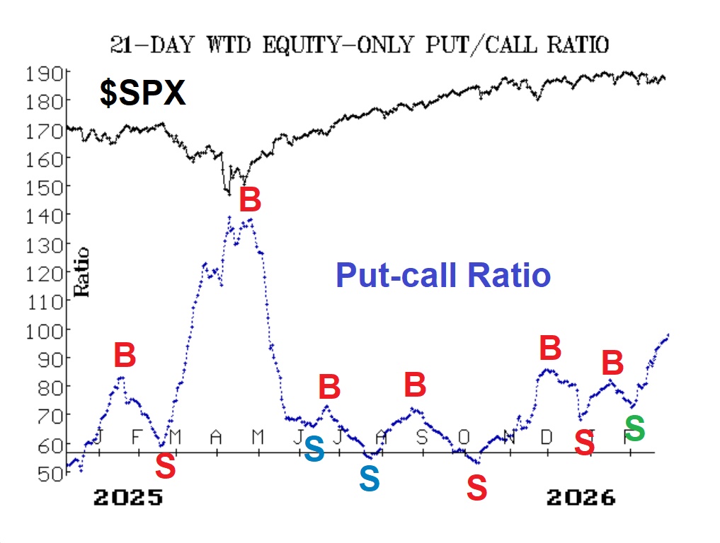 Dollar-Weighted Put-Call Ratio