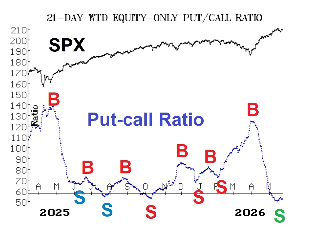 Dollar-Weighted Put-Call Ratio