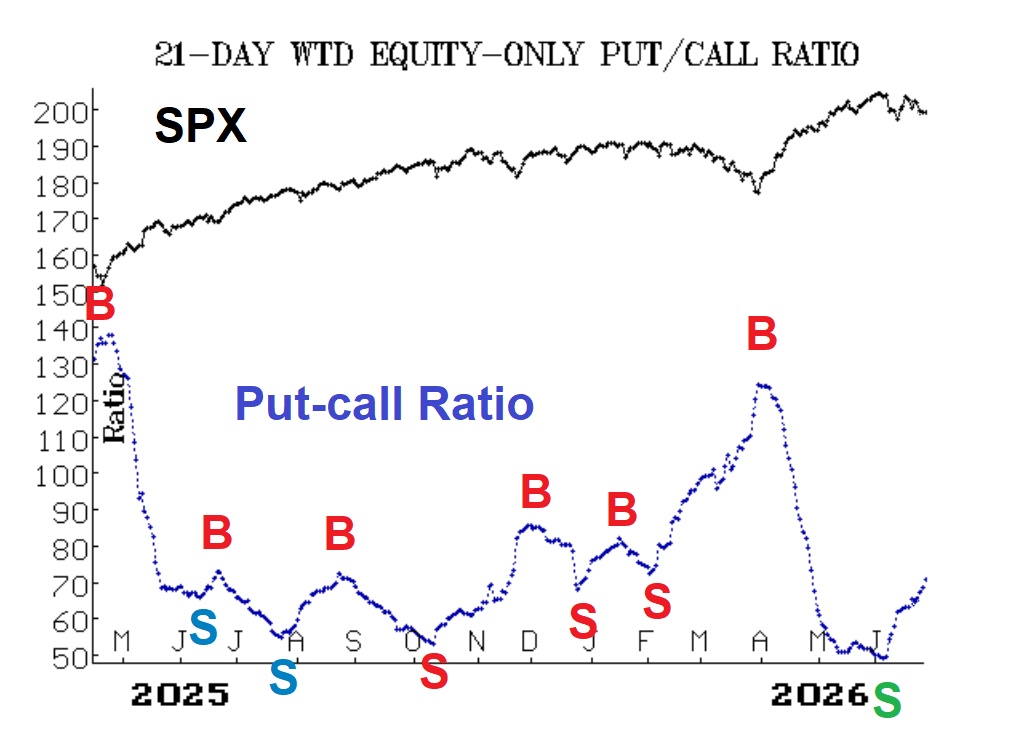 Dollar-Weighted Put-Call Ratio