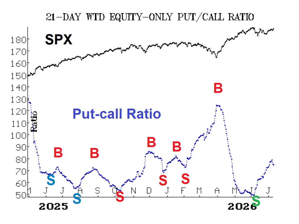 Dollar-Weighted Put-Call Ratio