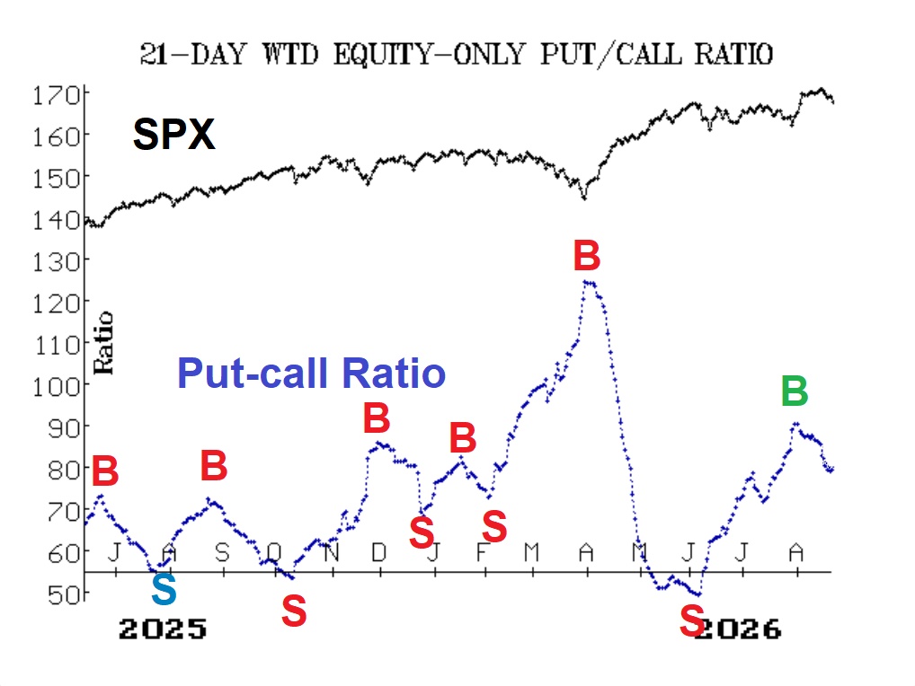 Dollar-Weighted Put-Call Ratio