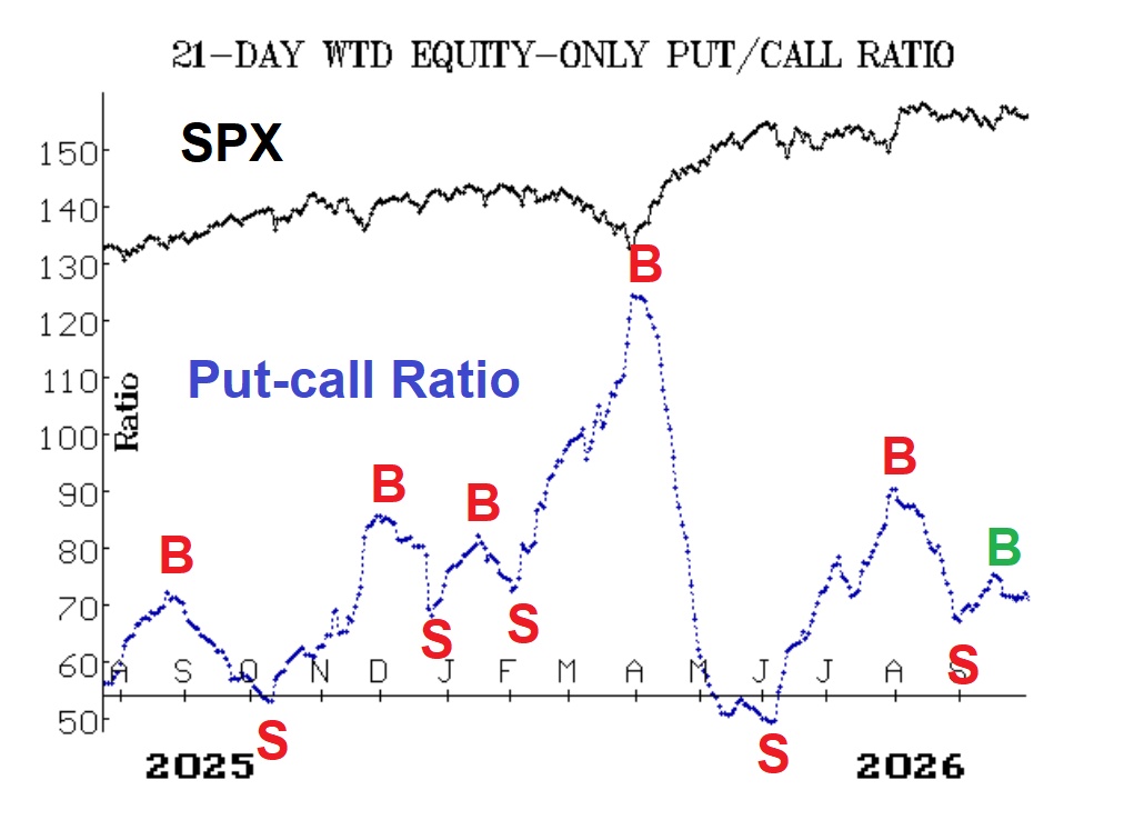 Dollar-Weighted Put-Call Ratio