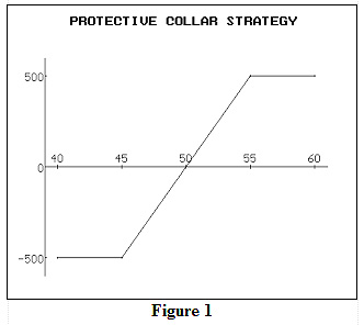 Protective Collar