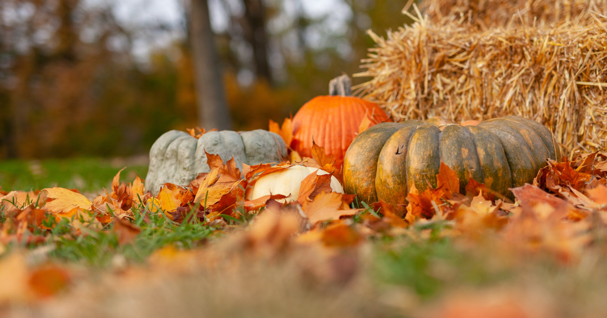 October Seasonal Trading